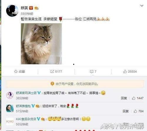 不要招惹舒小姐,为何不要轻易招惹