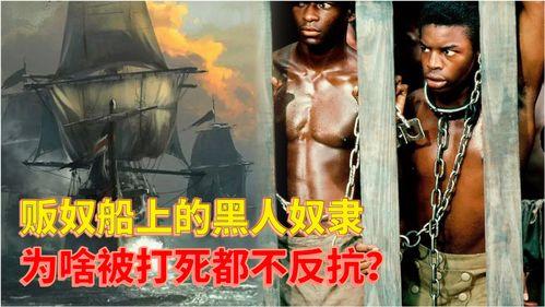 奴隶船,罪恶的航行与被遗忘的历史