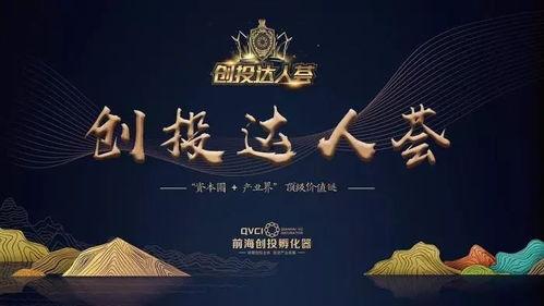 创投达人,揭秘创业投资的成功秘诀