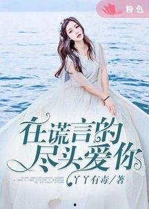 在谎言尽头爱你,一段真挚情感的救赎之旅